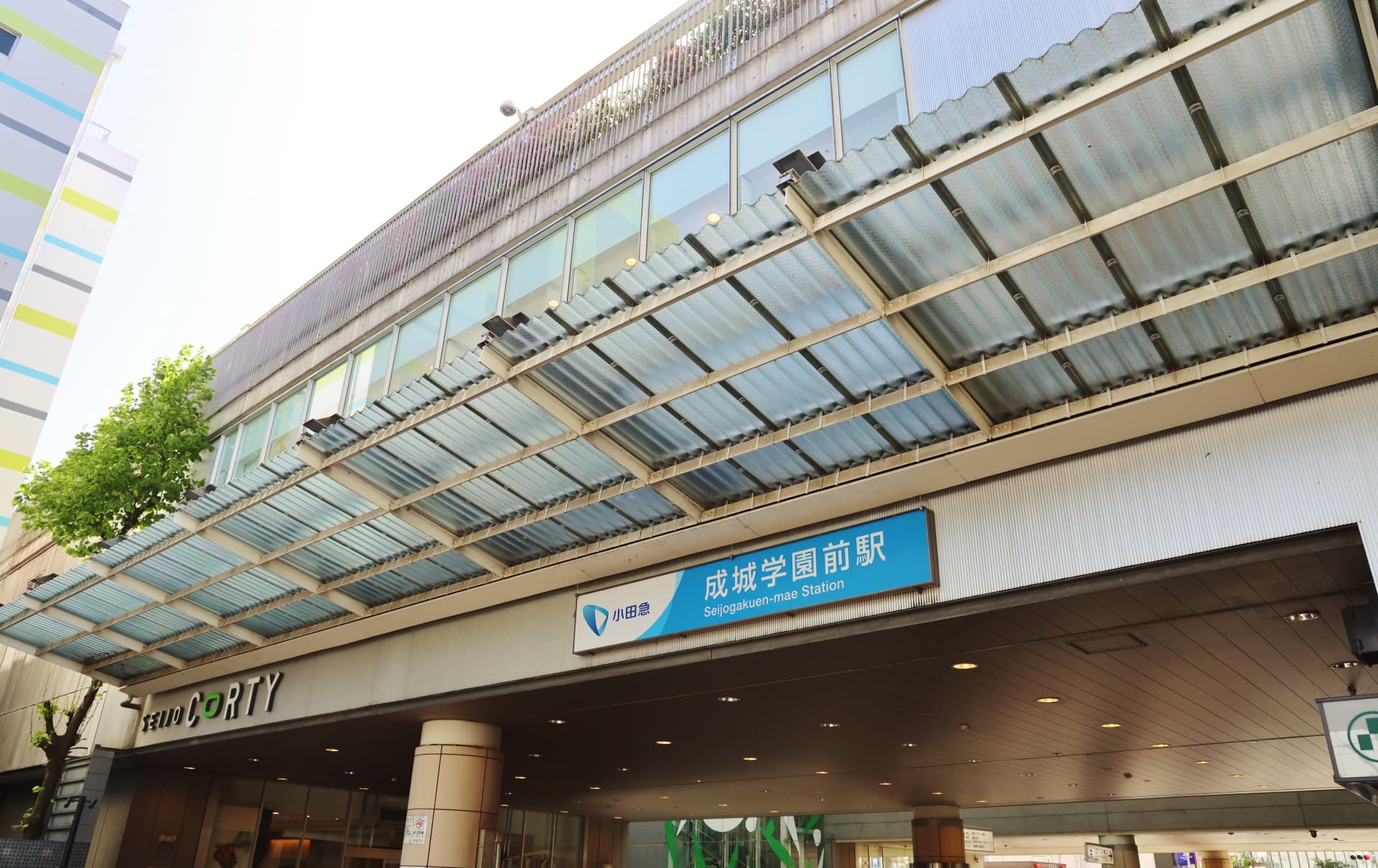 緑豊かな成城学園前の並木道と高級住宅街の様子